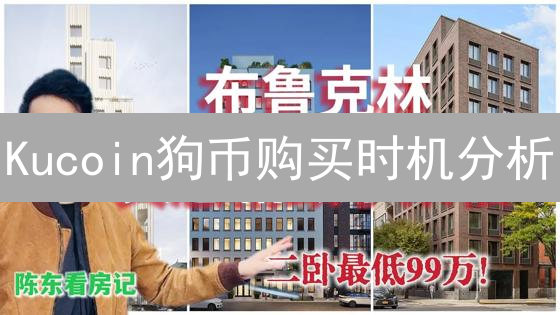 Kucoin狗币购买时机分析：把握DOGE的魅力与风险