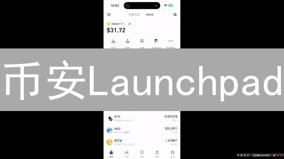 币安Launchpad：抓住新币暴富机会？参与攻略大揭秘！