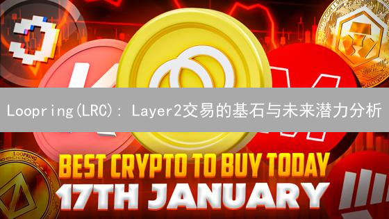 Loopring(LRC): Layer2交易的基石与未来潜力分析
