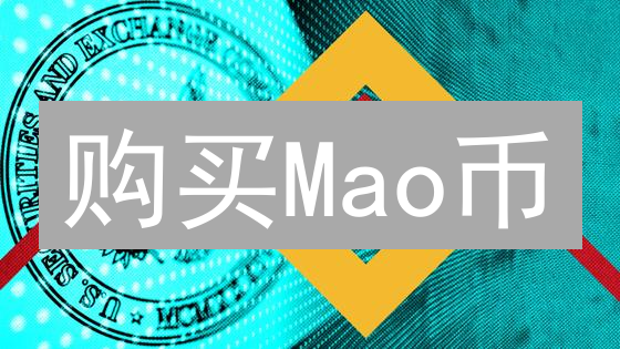 购买Mao币？警惕！2024年你需要了解的5大法律风险