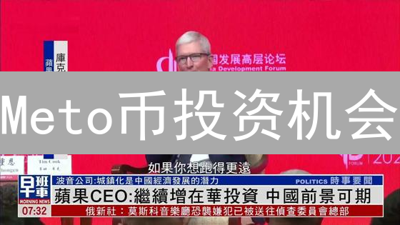 Meto币投资机会：错过了比特币，还要错过它吗？