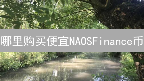 哪里购买便宜NAOSFinance币？渠道与价格影响因素分析