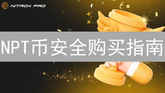 NPT币安全购买指南：哪里买最可靠？