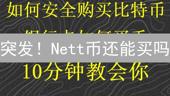 突发！Nett币还能买吗？新手避坑指南，暴涨前夜！