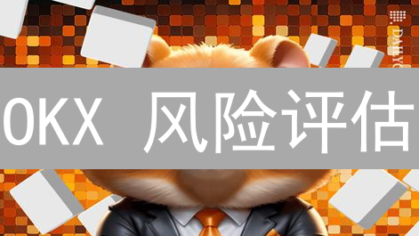OKX 风险评估：新手必备？手把手教你安全投资！