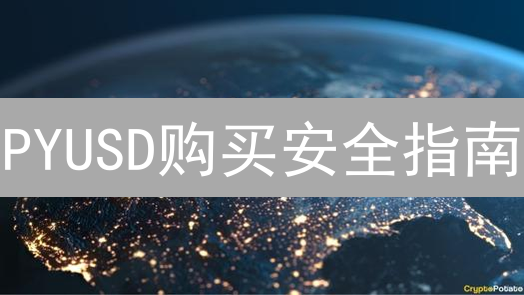 PYUSD购买安全指南：可靠选择与风险防范