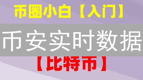币安实时数据：别再盲猜！交易高手都在用的Python秘籍