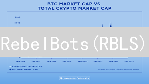 RebelBots(RBLS)：链游新星？揭秘其价值、风险与机遇！