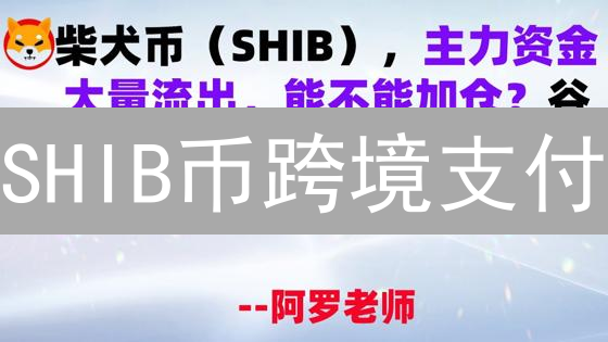 SHIB币跨境支付：应用场景、机遇与挑战分析