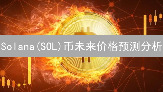 Solana(SOL)币未来价格预测分析：影响因素与趋势解读