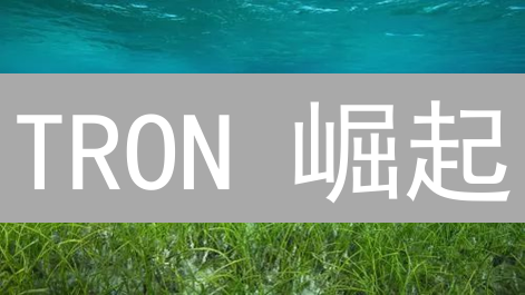 TRON 崛起：7 年重塑去中心化互联网，未来潜力无限？