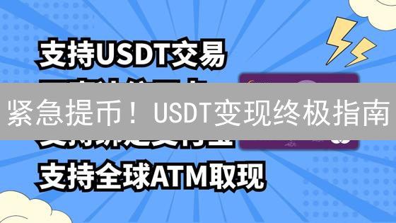 紧急提币！USDT变现终极指南：交易所、OTC、P2P全攻略，告别数字货币焦虑！