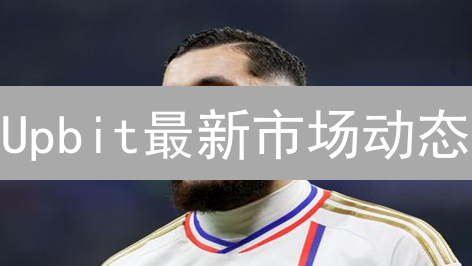 Upbit最新市场动态：DeFi与山寨币轮动，Layer2备受关注