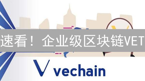 速看！企业级区块链VET：下一个爆发点？🔥