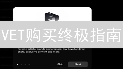 VET购买终极指南：币安轻松上手，新手也能变高手！