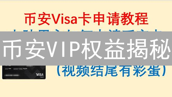 币安VIP权益揭秘：如何轻松升级，享受专属福利？