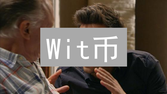 Wit币：连接创意与价值的创新加密货币项目分析
