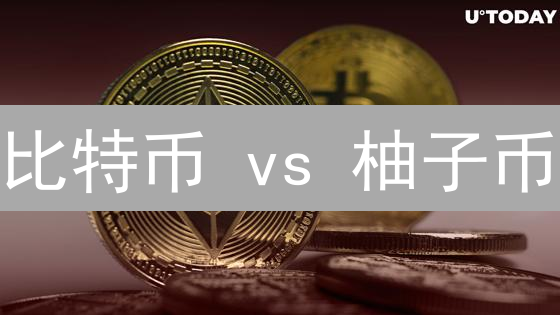 比特币 vs 柚子币： 8 大关键差异深度解析（2024 最新）